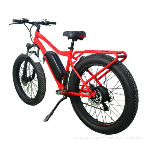 Wide Tyre Aluminium frame electric bicycle for adult